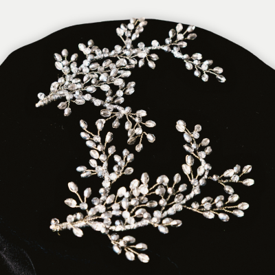 Crystal Ferns
